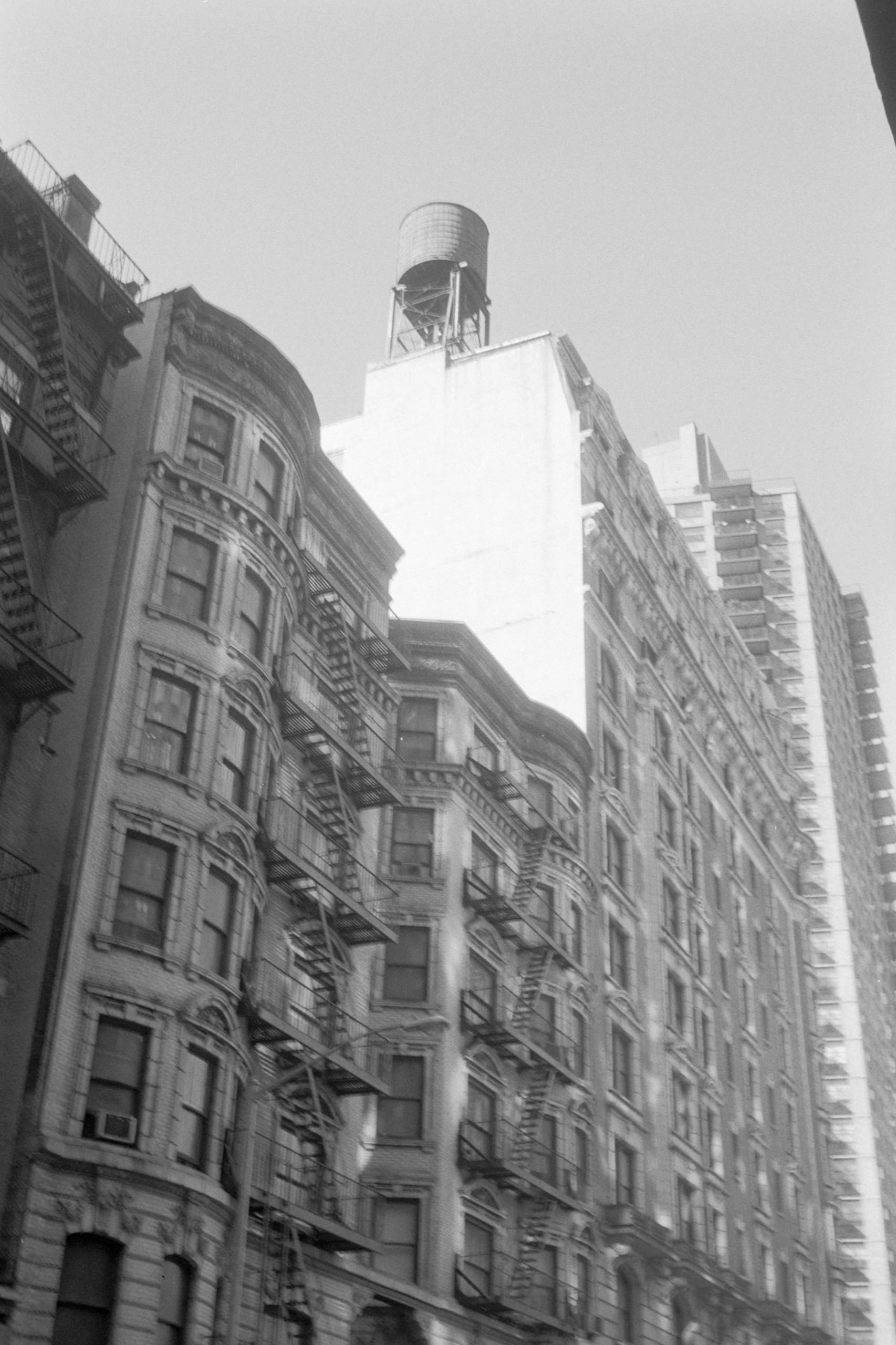 AHP FilmScan 240807 0763